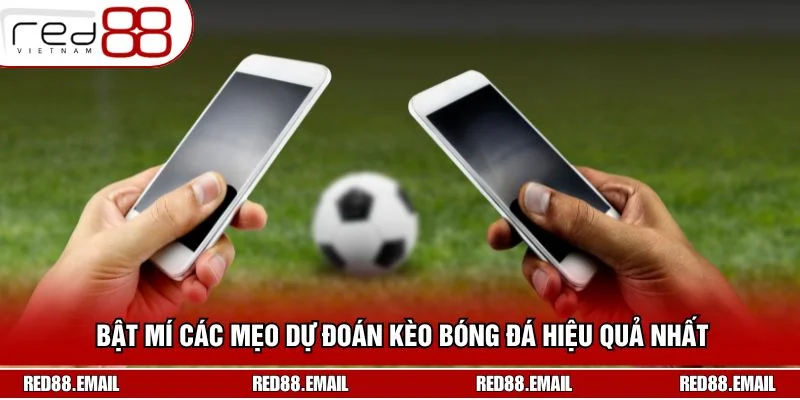 Hướng Dẫn Dự Đoán Bóng Đá Chuẩn Xác Từ Chuyên Gia RED88 Bật mí các mẹo dự đoán kèo bóng đá hiệu quả nhất