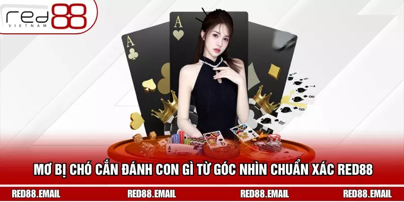 Mơ Bị Chó Cắn Đánh Con Gì Từ Góc Nhìn Chuẩn Xác RED88