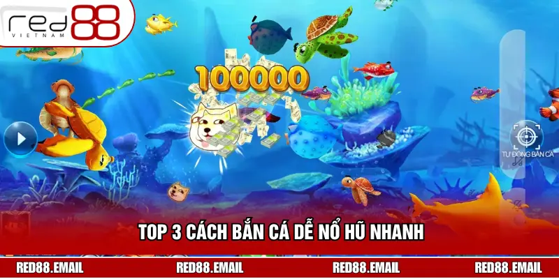 Top 3 cách bắn cá dễ nổ hũ nhanh - Áp dụng là thắng